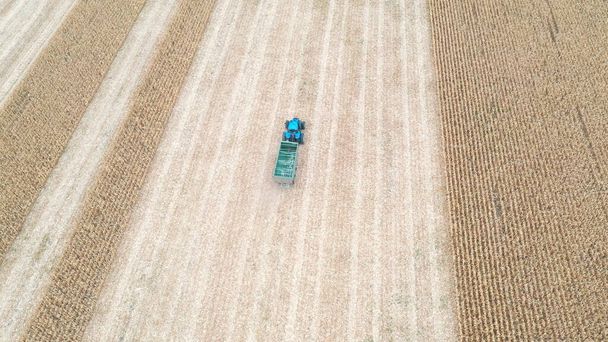 Ilmakuva traktorista, jossa perävaunu liikkuu pellon mukana sadonkorjuun aikana. Lennokki jäljittää maatalouskonetta, joka ajaa viljelysmaan läpi. Maanviljelyn käsite. Yläkuva. - Valokuva, kuva