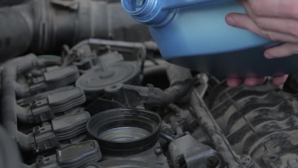 Verter el nuevo aceite sintético limpio del motor en el motor. Cambio de aceite en auto. - Metraje, vídeo