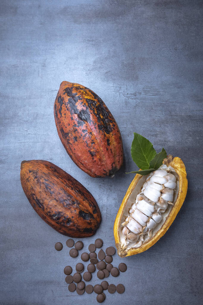 открытые кокосовые плоды с шоколадными чипсами, на светлом фоне, видимом сверху, свободное пространство. - Фото, изображение