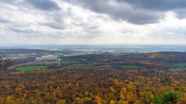 Ein Blick auf die schönen Herbstfarben über die bewaldete Landschaft aus der Vogelperspektive. - Filmmaterial, Video