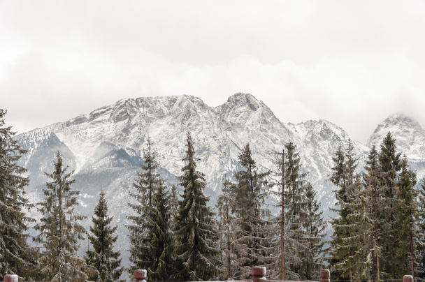 Montañas Tatra con pico Giewont
 - Foto, Imagen