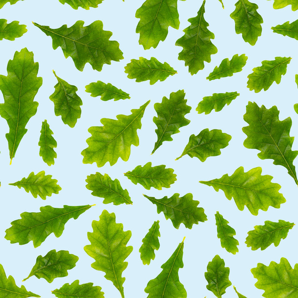 Seamless pattern. Composition of oak leaves of different size on a light blue background, isolate,  close-up. Top view, flat lay. - Fotó, kép