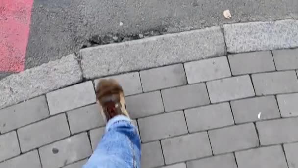 Γκρο πλαν πάνω άποψη των ποδιών ενός άνδρα που περπατά σε δρόμους της πόλης και πεζοδρόμια επενδεδυμένα με γκρίζο κλίνκερ πλακόστρωτα πέτρες. Ένα ενεργό άτομο περπατά κατά μήκος δρόμων και διασταυρώσεων στη φασαρία της πόλης. - Πλάνα, βίντεο