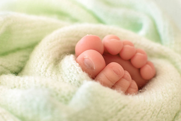 pies de un bebé recién nacido con una hoja de una planta de helecho sobre un fondo verde. - Foto, Imagen