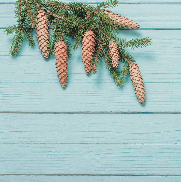 fir branches with cones on blue wooden background - Photo, Image