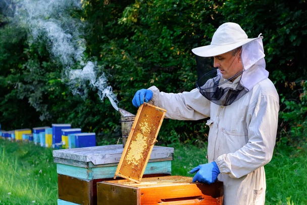 Μελισσοκόμος σε προστατευτικό πλαίσιο επιθεώρησης ενδυμάτων εργασίας στο μελισσοκομείο. Ο μελισσοκόμος κρατά μια κηρήθρα με φρέσκο μέλι στα χέρια του - Φωτογραφία, εικόνα