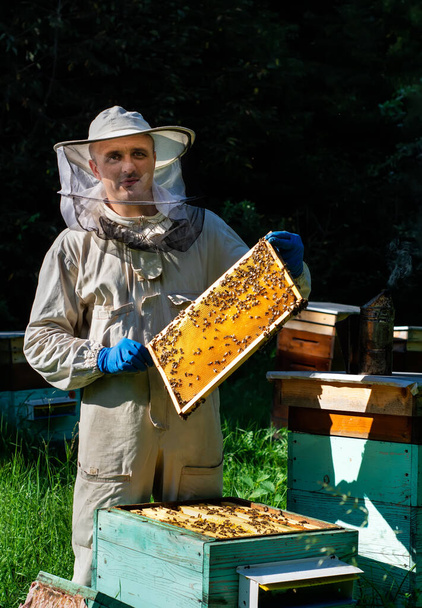 Ένας νεαρός μελισσοκόμος δουλεύει σε μια κυψέλη κοντά στις κυψέλες. Φυσικό μέλι απευθείας από την κυψέλη - Φωτογραφία, εικόνα