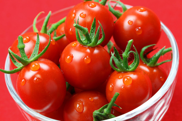 Tomates cereja, imagem de licopeno
 - Foto, Imagem