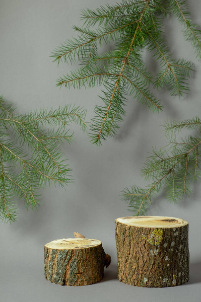 Podiums vides en bois avec branches de sapin sur fond gris. support géométrique et espace de copie.  - Photo, image