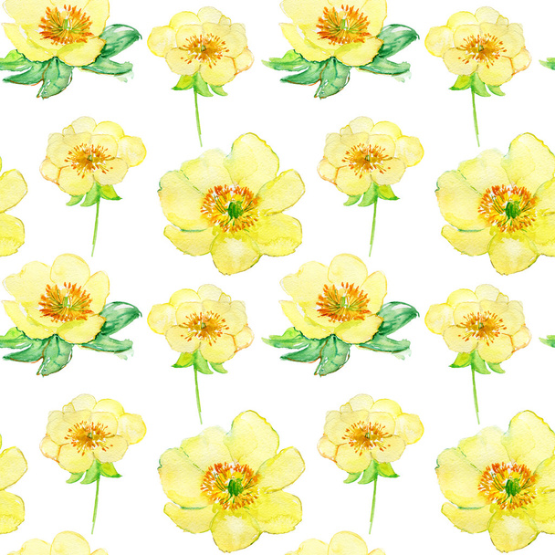 gelbe Blüten - Foto, Bild