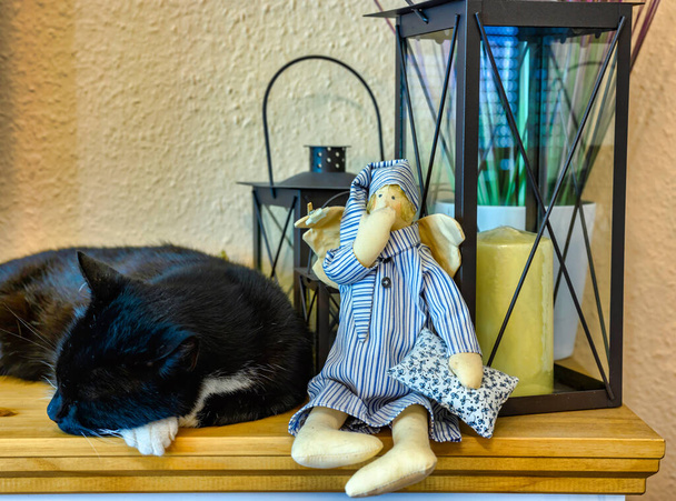 Czarny kot z białymi łapami śpi na kredensie obok ziewającej lalki z latarniami w tle. - Zdjęcie, obraz