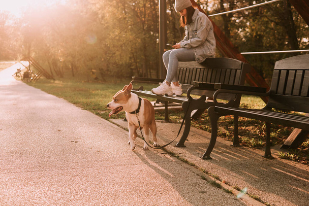 A cute young teenage girl with a hat is sitting on a park bench and pressing a phone, and a brown American Staffordshire Terrier is tied next to her. Sunny autumn in the park - Foto, immagini