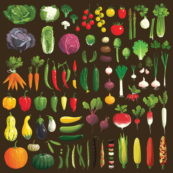 Vegetables - Vector, Image