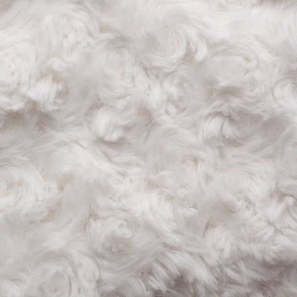 Cotton Wool - Photo, Image