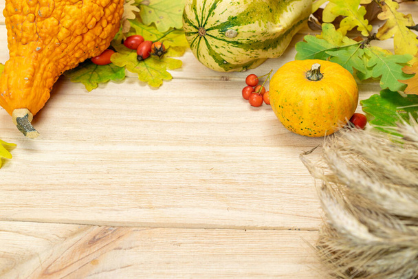 Абстрактная осень. Природный урожай с ржаным шипом апельсиновой тыквы, осенью сушеные листья, красные ягоды и желуди, каштаны на деревянном фоне. Осенний День благодарения фон - Фото, изображение