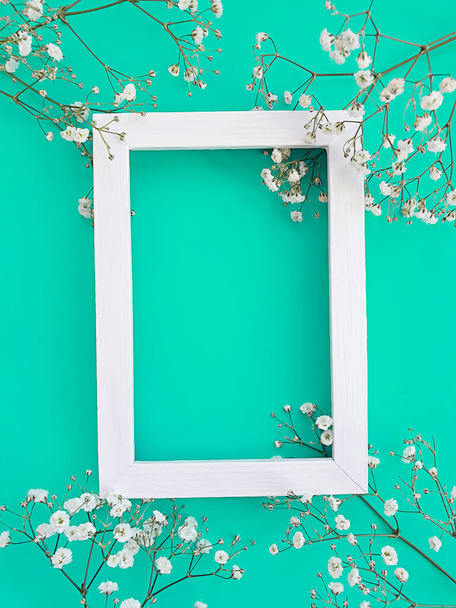 spring flowers on colored background frame - Photo, Image