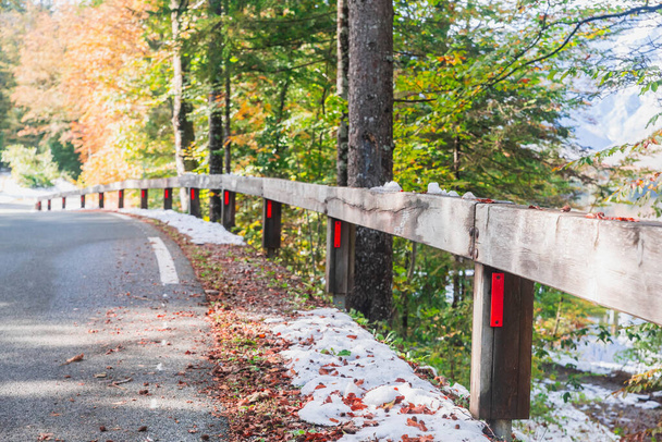 Drewniany przystanek w jesiennym lesie w Słowenii - Zdjęcie, obraz