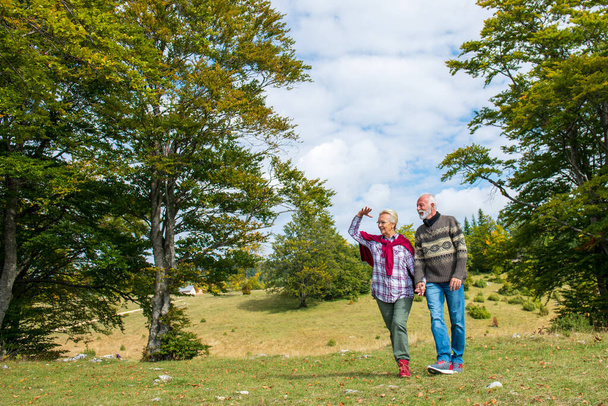 Senior couple walking in a beautiful nature - Φωτογραφία, εικόνα