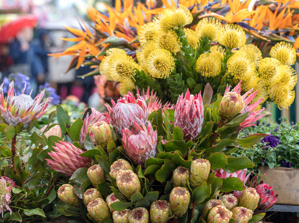 Colorful tropical flowers at a street market in Funchal on Madeira Island - Photo, Image