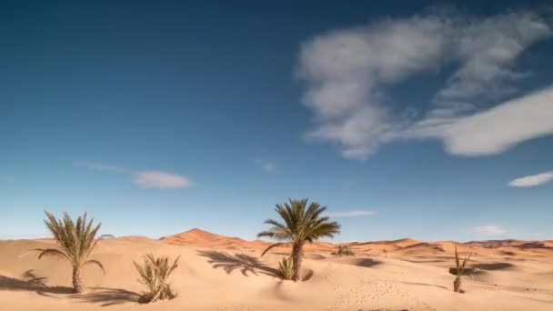 Upływ czasu cieni na wydmach na Saharze - Materiał filmowy, wideo