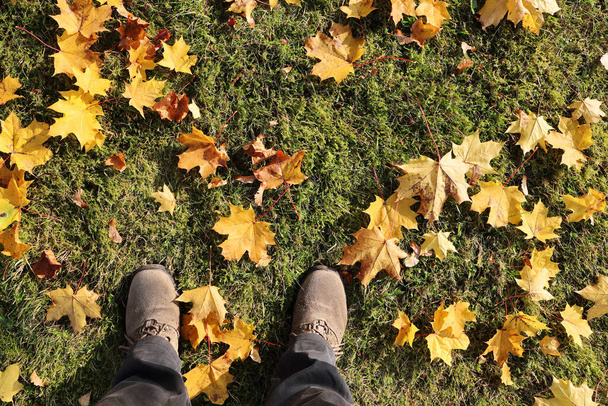 Menschliche Füße stehen auf herbstlichem Rasen mit abgefallenen gelben Ahornblättern in flacher Lage - Foto, Bild