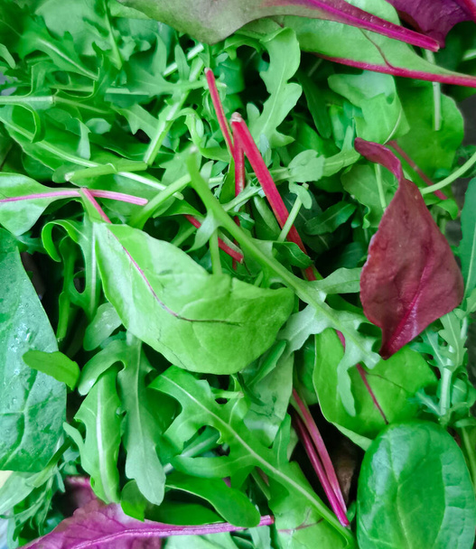 ほうれん草の葉、スイスチャード、ビートルート、アルグラと緑と赤のレタスを混合します。新鮮な、健康的なハーブや野菜の葉のセットは、健康のためのビタミンや抗酸化物質でいっぱい. - 写真・画像
