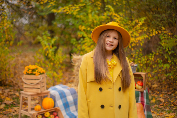 мила красива дівчина-підліток брюнетка в помаранчевому капелюсі, сукня і пальто поруч з осінніми прикрасами гарбузи, яблука, ковдри, сіно. Затишок
.  - Фото, зображення
