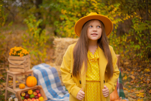 秋の装飾の横にあるオレンジの帽子、ドレス、コートのかわいい十代のブルネットの女の子-カボチャ、リンゴ、毛布、干し草。美人.  - 写真・画像
