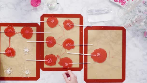 Zelfgemaakte bessensmaak lolly 's met sneeuwvlokken. - Video