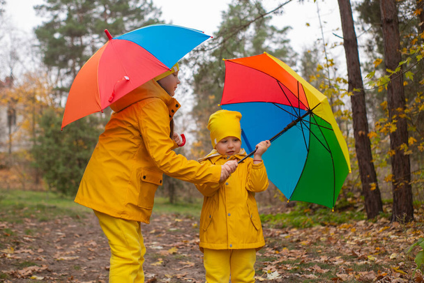 Lindo niño feliz y una niña - hermano y hermana - en trajes y sombreros amarillos idénticos caminando por el bosque con paraguas de color arco iris. Confort, familia. - Foto, imagen