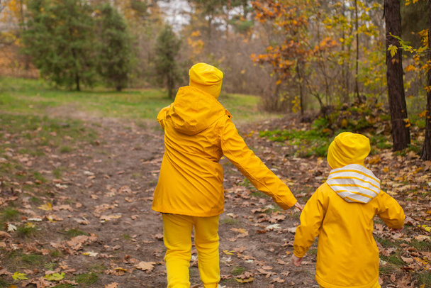 かわいい男の子と女の子-弟と妹-同じ黄色の衣装や帽子で森の中を歩く。美人で家族. - 写真・画像