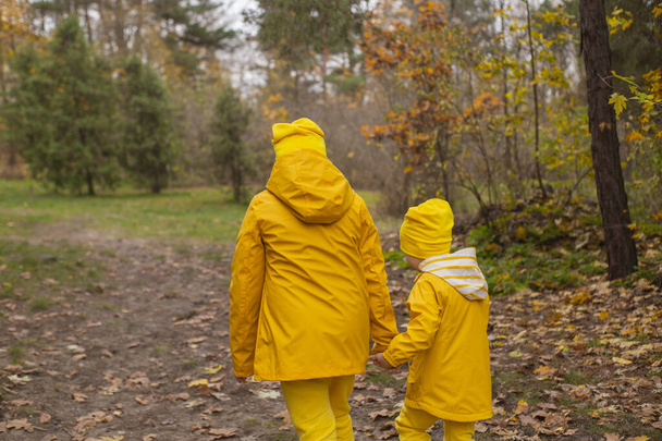 Roztomilý chlapeček a dívka - bratr a sestra - ve stejných žlutých kostýmech a kloboucích, procházející se lesem. Útulnost, rodina. - Fotografie, Obrázek