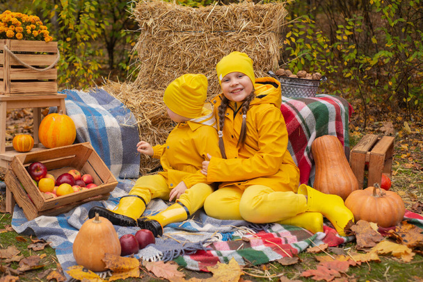 Милий щасливий хлопчик і дівчинка - брат і сестра - в однакових жовтих костюмах і капелюхах біля осінніх прикрас - гарбузи, яблука, ковдри, сіно. Затишок, сім'я
. - Фото, зображення