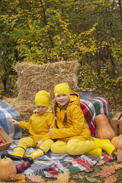 Netter fröhlicher kleiner Junge und ein Mädchen - Bruder und Schwester - in identischen gelben Kostümen und Hüten in der Nähe von Herbstdekorationen - Kürbisse, Äpfel, Decken, Heu. Gemütlichkeit, Familie. - Foto, Bild