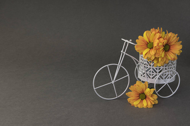 Orange and yellow chrysanthemum flowers in small toy white bicycle, mini tricycle with bouquet on gray background. Eco flower delivery. Copy space. - 写真・画像