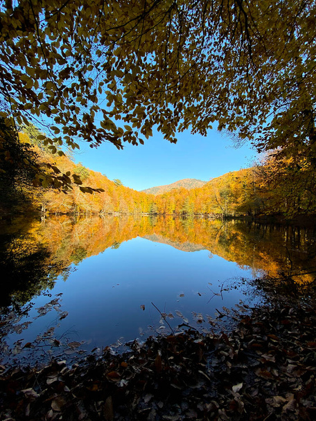 Abant  amazing nature view in autumn - Zdjęcie, obraz