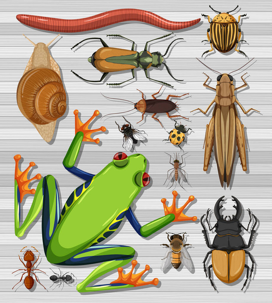 Σύνολο διαφορετικών εντόμων σε διαφανή απεικόνιση φόντου - Διάνυσμα, εικόνα