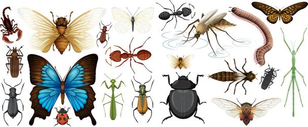 Beyaz arkaplanda izole edilmiş farklı böcek koleksiyonu - Vektör, Görsel
