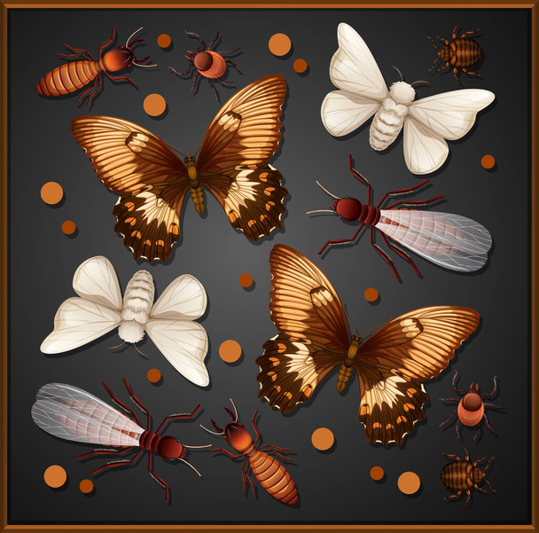 Conjunto de diferentes insectos en el marco de madera ilustración de fondo - Vector, imagen