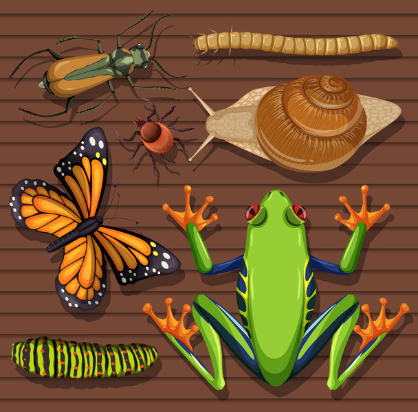 Σύνολο διαφορετικών εντόμων σε ξύλινη ταπετσαρία εικονογράφηση φόντου - Διάνυσμα, εικόνα