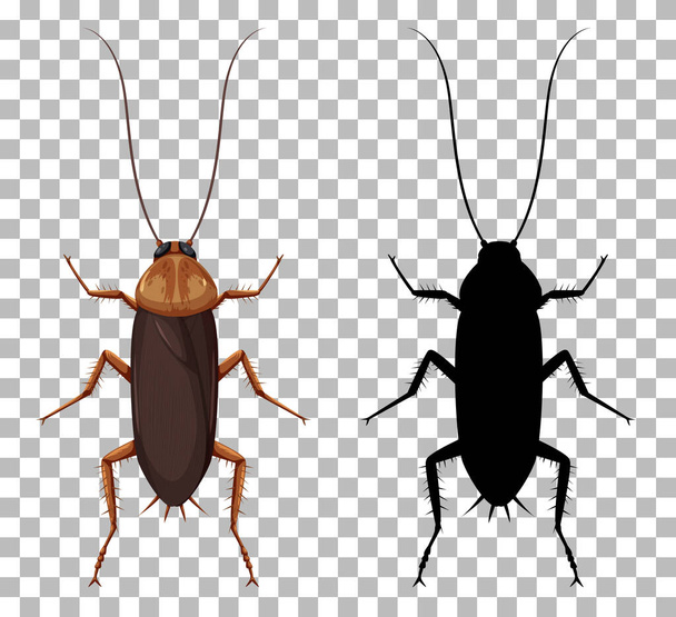 Cucaracha con su silueta aislada sobre fondo transparente ilustración - Vector, imagen