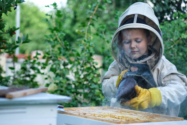 Chlapec včelař pracuje na úlu v úlu. Apiary. Včelí včelařství - Fotografie, Obrázek
