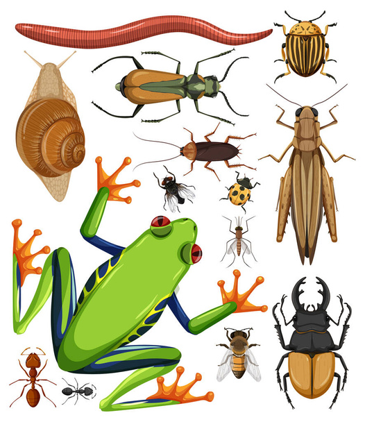 白い背景のイラストに異なる昆虫のセット - ベクター画像
