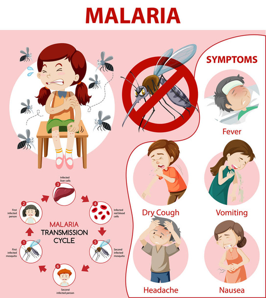 Informace o symptomech malárie infografická ilustrace - Vektor, obrázek