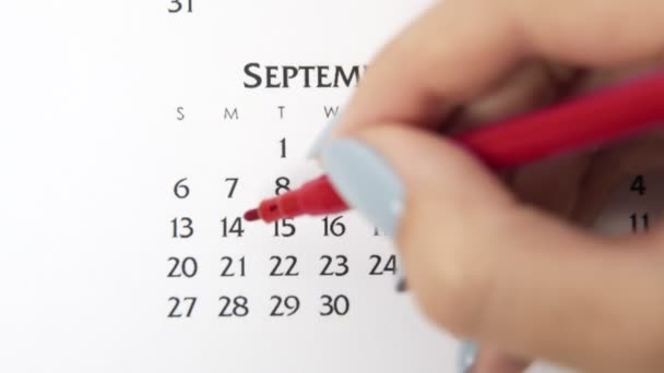 Vrouwelijke handcirkeldag in kalenderdatum met een rode stift. Business Basics Wall Calendar Planner en Organisator. 14 mei - Video