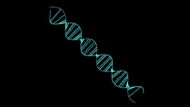 DNAデジタル特殊構造科学バイオテクノロジーアニメーション3Dは黒画面で回転します - 映像、動画