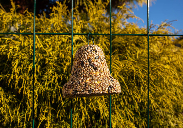 Колокол из различных зерен, деликатес для всех птиц в саду - Фото, изображение