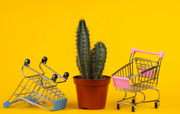 Winkelconcept. Cactus in pot en supermarkt trolleys op gele studio achtergrond. Minimalisme - Foto, afbeelding