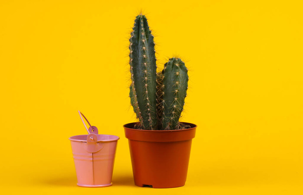 Cactus in pot and mini bucket on yellow studio background. Minimalism - 写真・画像