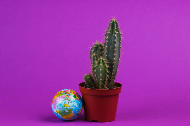 Cactus in pot with globe on purple studio background. Minimalism - Fotoğraf, Görsel